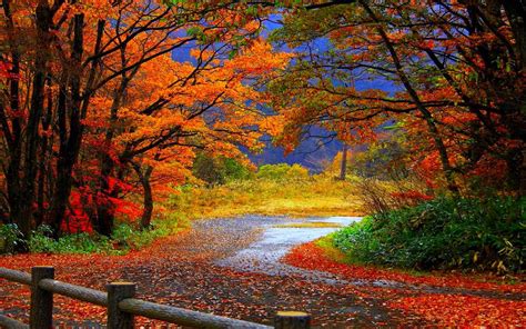 autumn free desktop wallpaper|free autumn wallpapers for laptops.